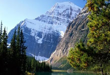 2024全国女排冠军赛最新战况如何？各队表现有哪些亮点？